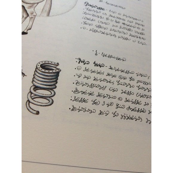 Luigi Serafini Codex Seraphinianus Print 95B - Picture 6 of 14